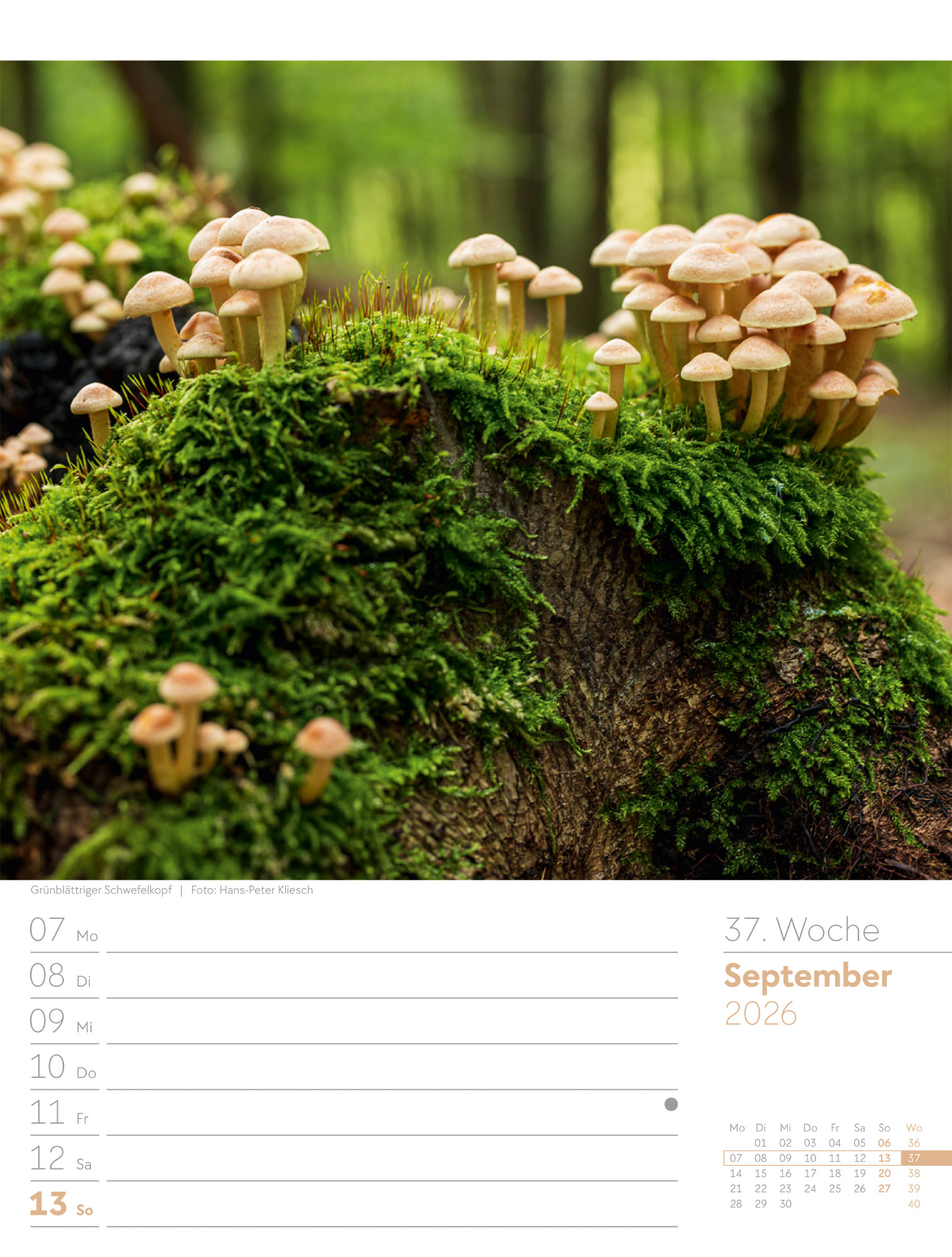 9783838426976_innenansicht_40 9783838426976_innenansicht_40.jpg