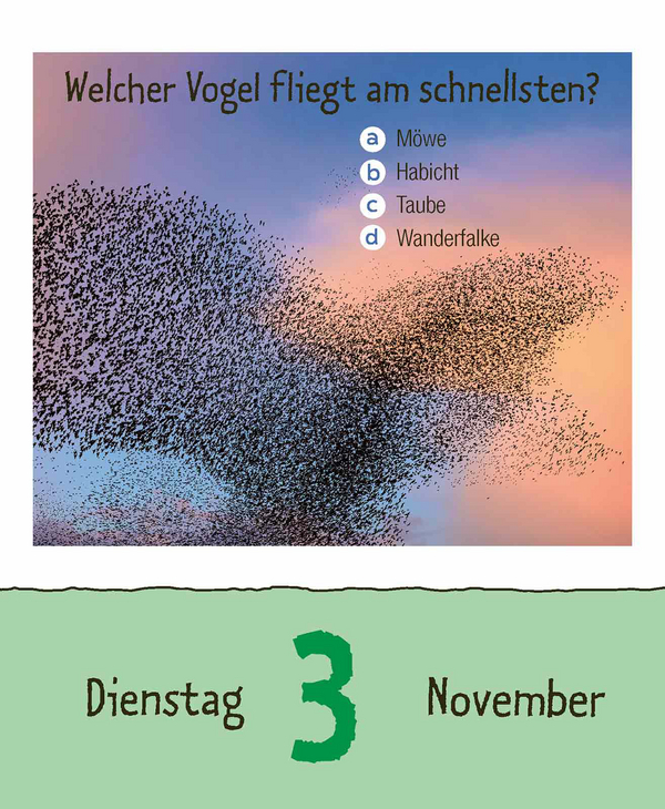 9783731887041_innenansicht_14.jpg