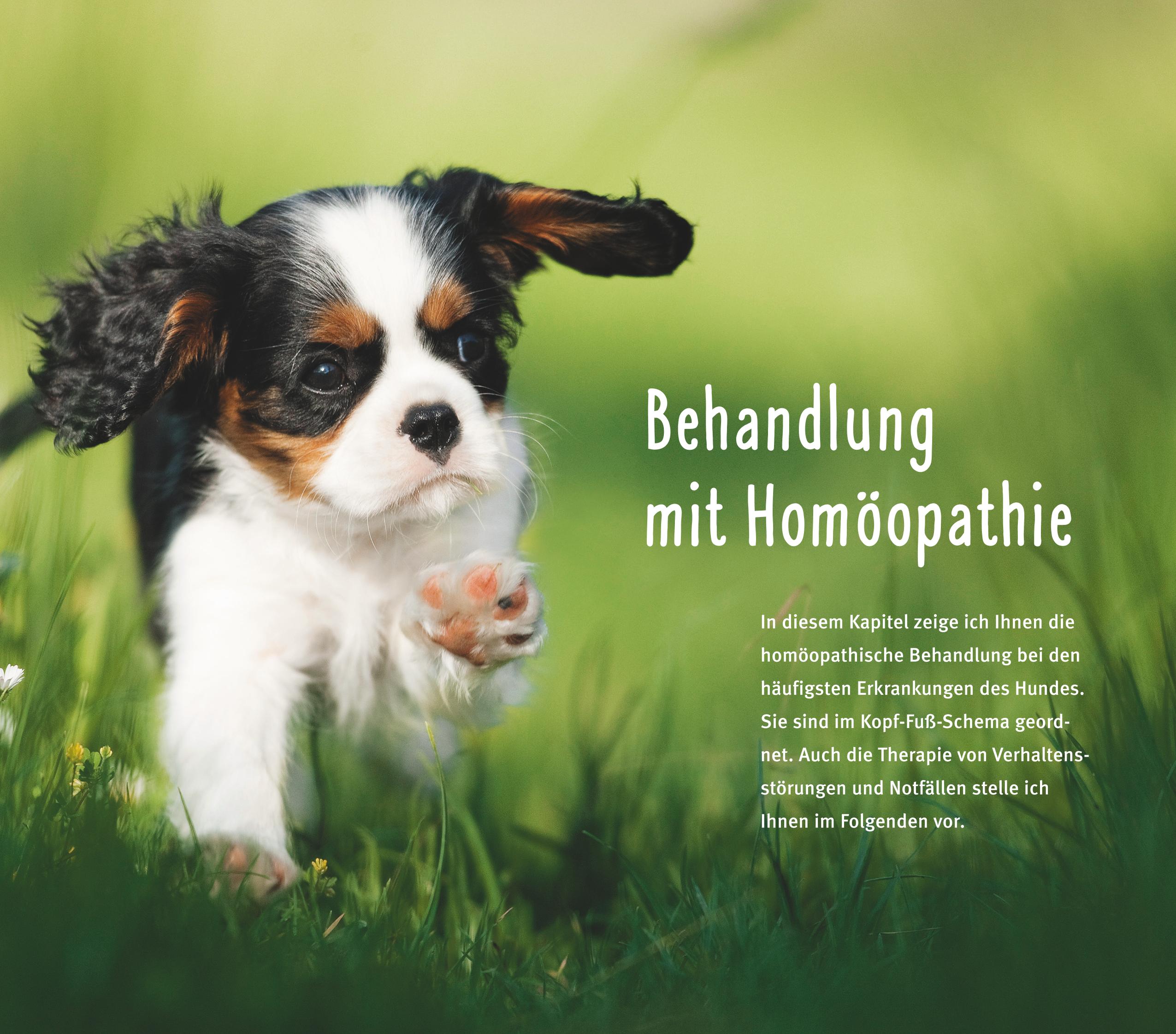 9783833852169_innenansicht_04.jpg