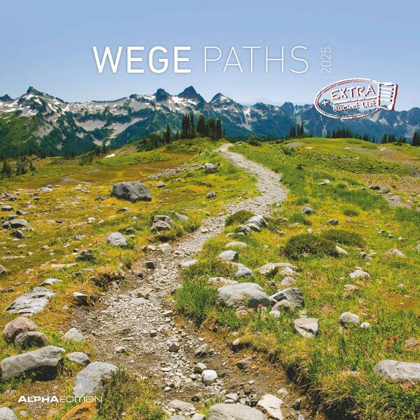 4251732340919 4251732340919