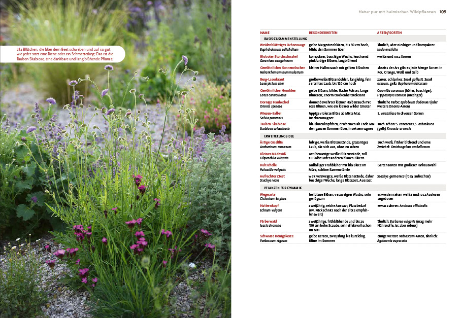 9783818617653_innenansicht_08 9783818617653_innenansicht_08.jpg