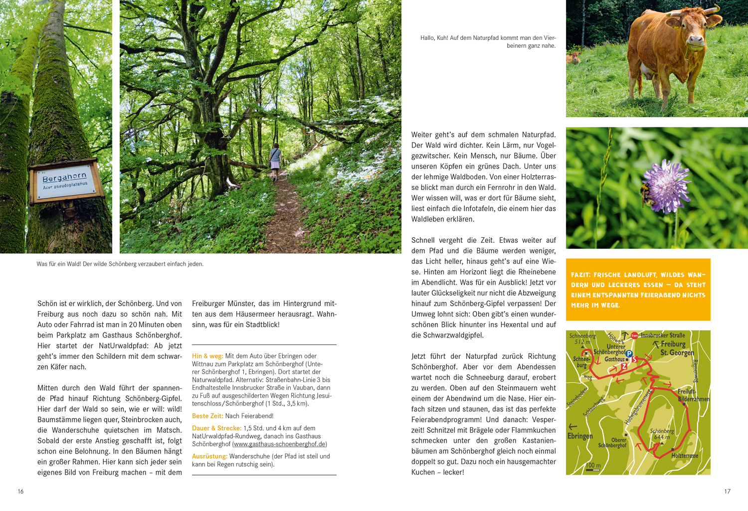 9783770180905_innenansicht_04 9783770180905_innenansicht_04.jpg