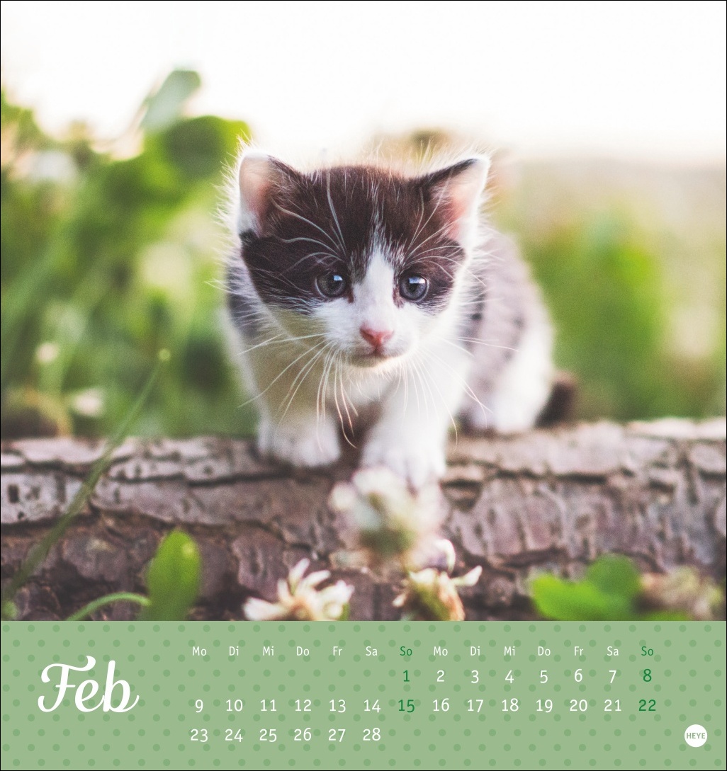 9783756410460_innenansicht_02 9783756410460_innenansicht_02.jpg