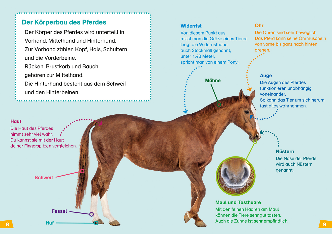 9783788626440_innenansicht_03 9783788626440_innenansicht_03.jpg