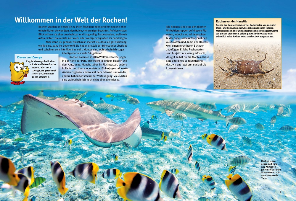 9783866595088_innenansicht_01 9783866595088_innenansicht_01.jpg