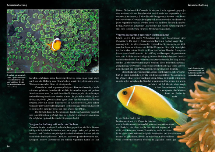 9783866590564_innenansicht_02 9783866590564_innenansicht_02.jpg