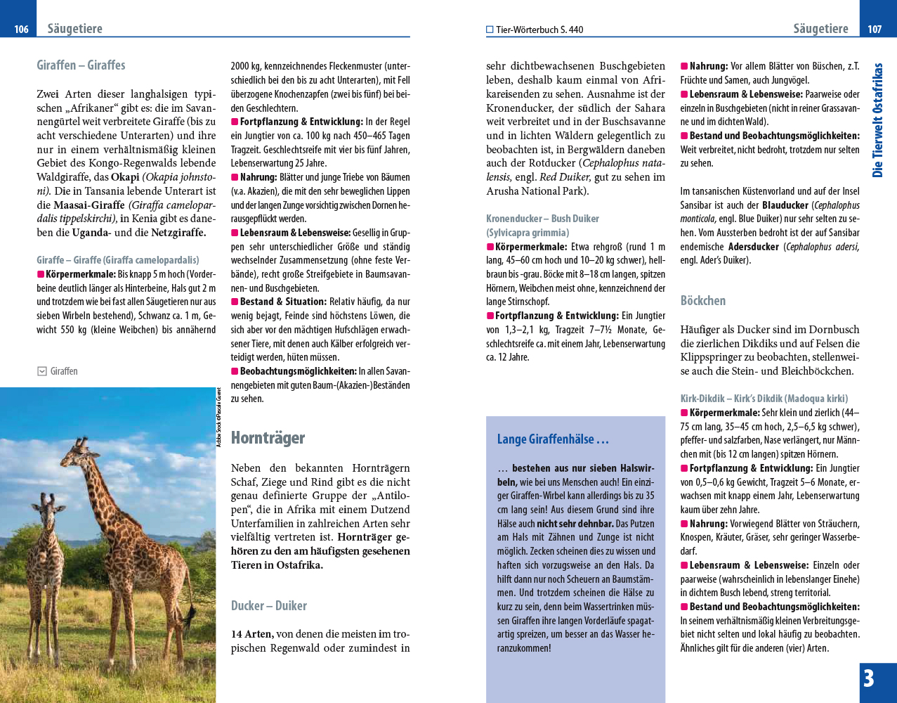 9783831734160_innenansicht_06 9783831734160_innenansicht_06.jpg