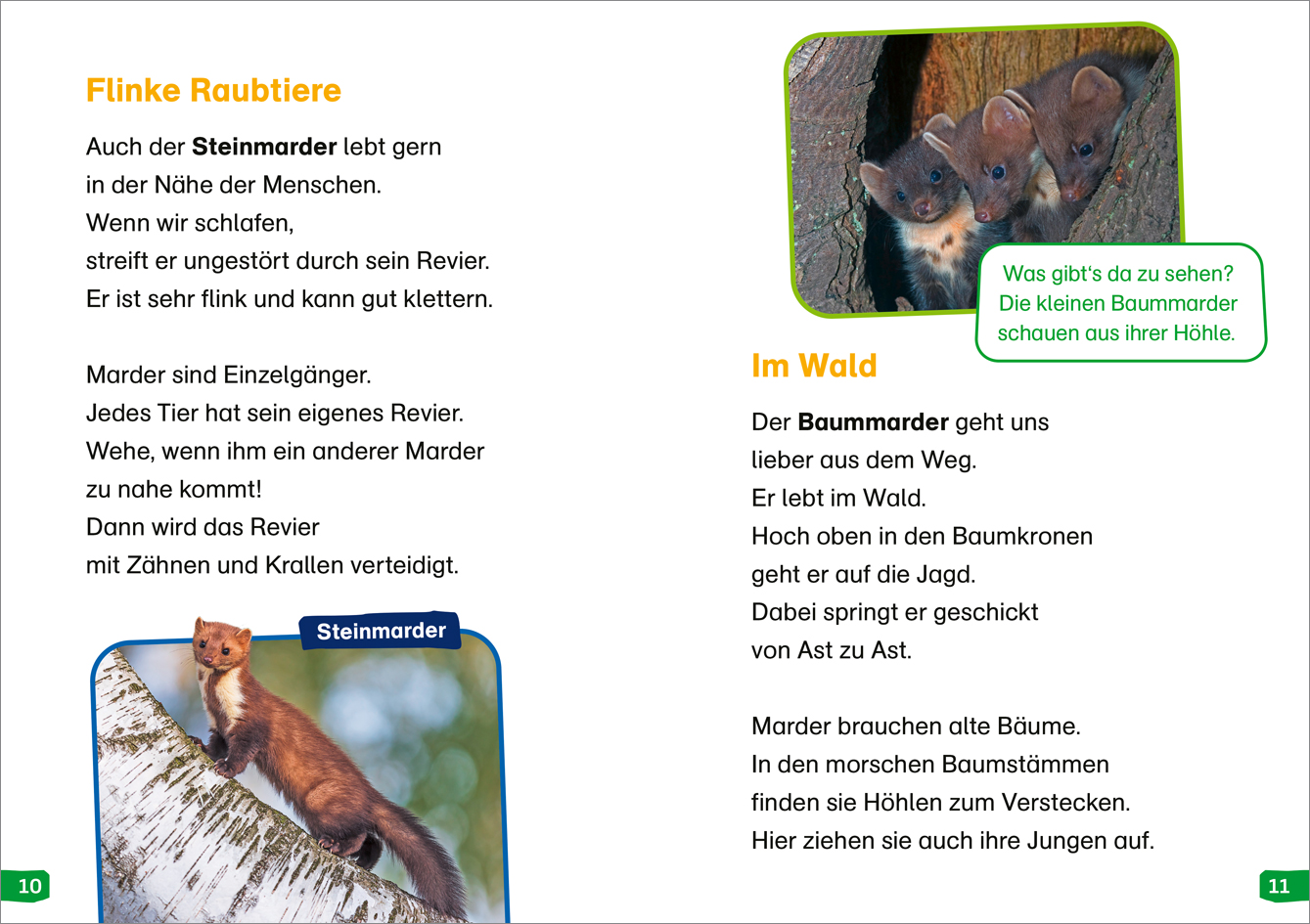 9783788677350_innenansicht_01.jpg
