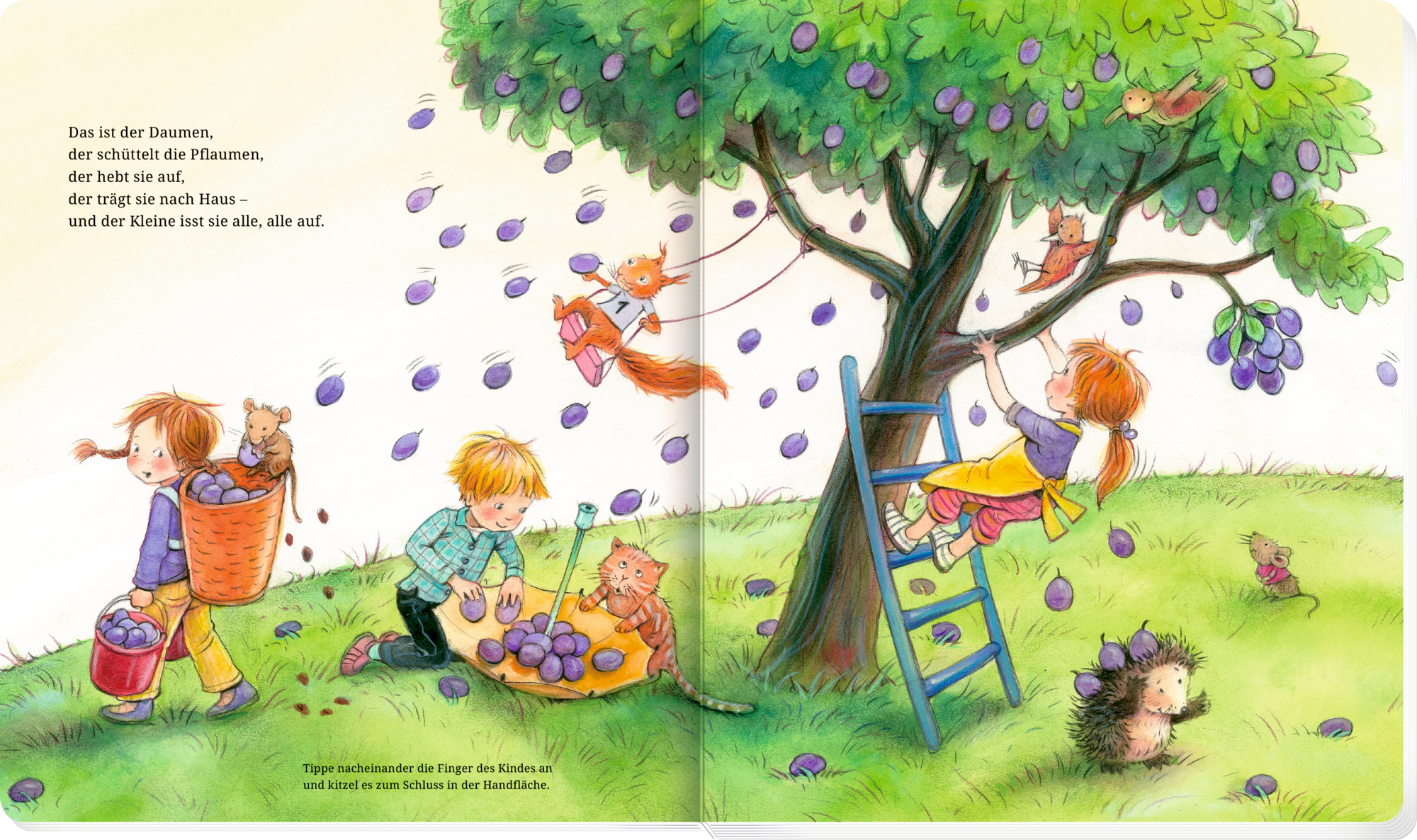 9783649672227_innenansicht_02 9783649672227_innenansicht_02.jpg