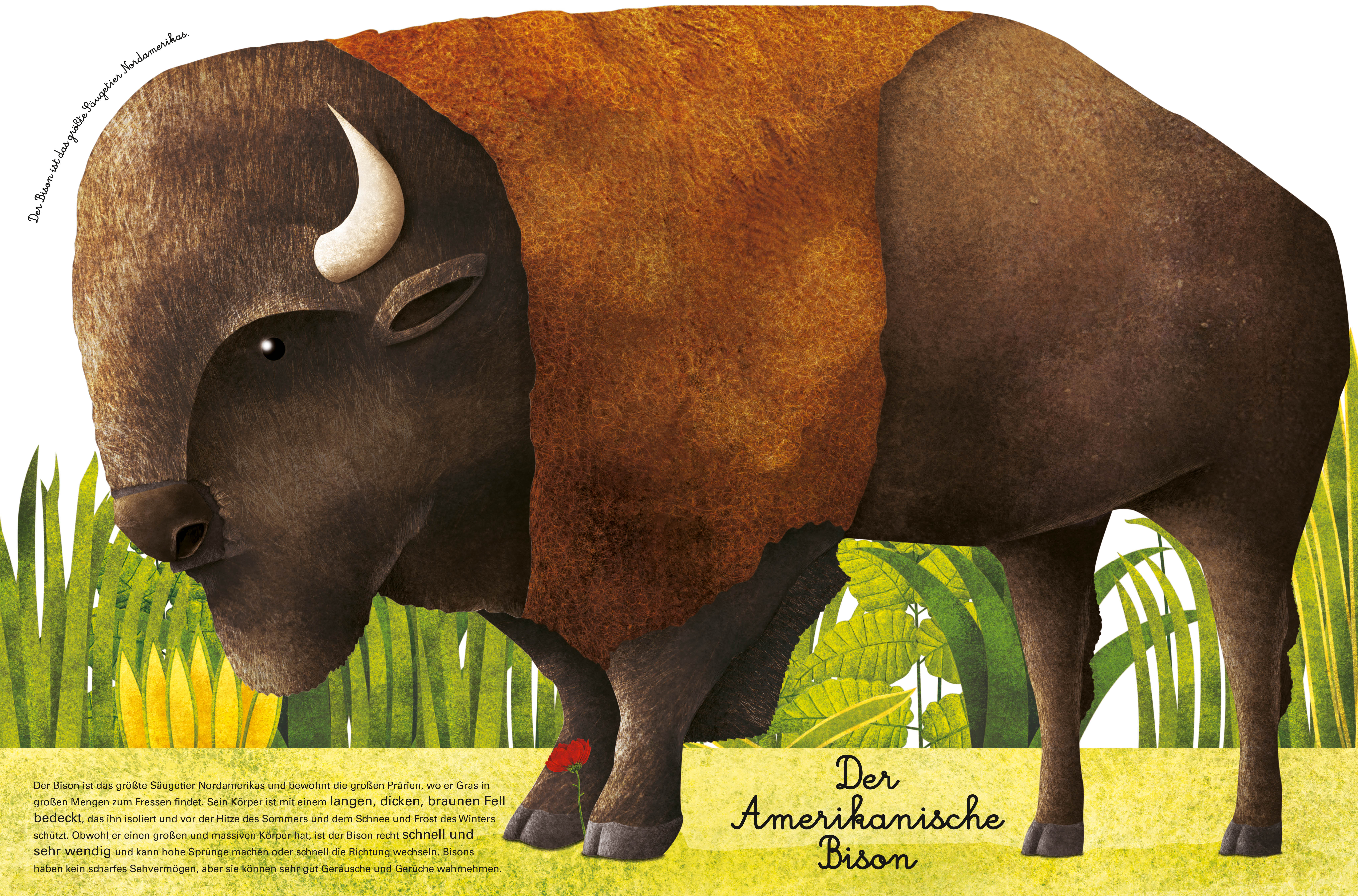 9788863125597_innenansicht_05 9788863125597_innenansicht_05.jpg