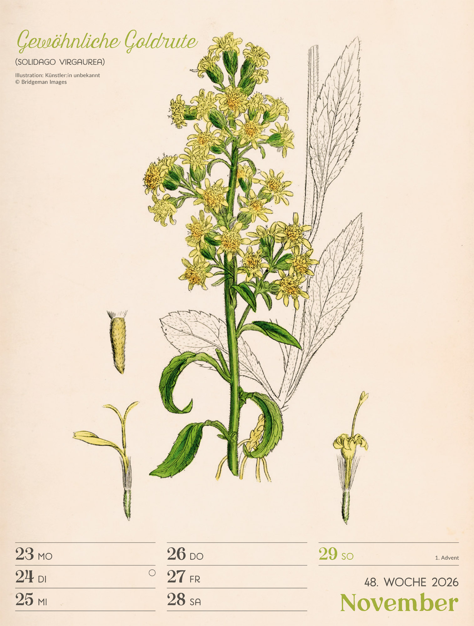 9783838436128_innenansicht_51 9783838436128_innenansicht_51.jpg