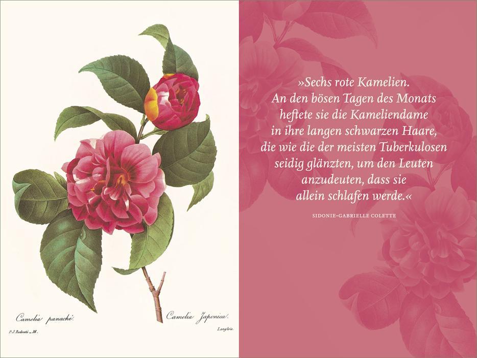 9783458360025_innenansicht_05.jpg