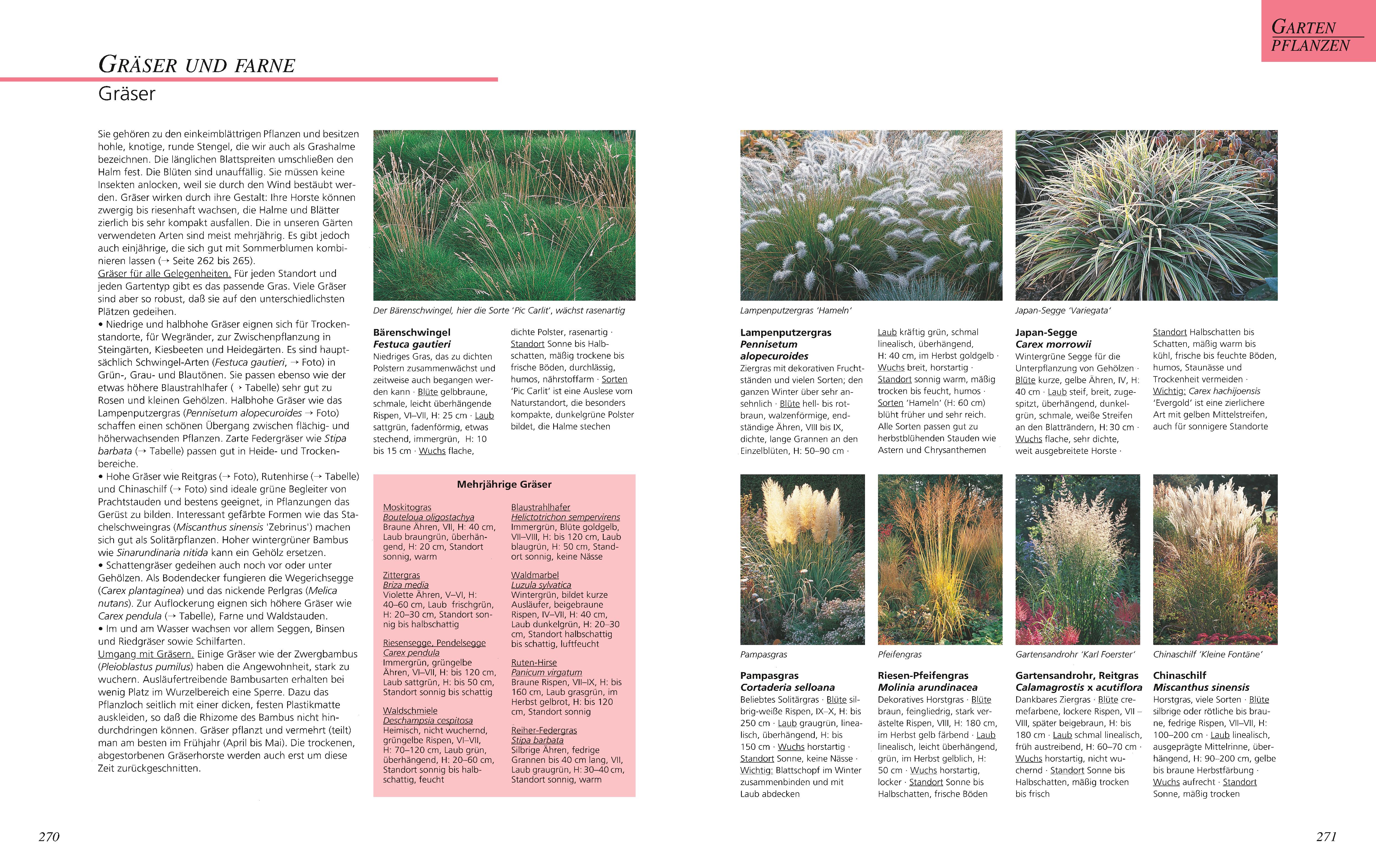 9783833853920_innenansicht_05 9783833853920_innenansicht_05.jpg