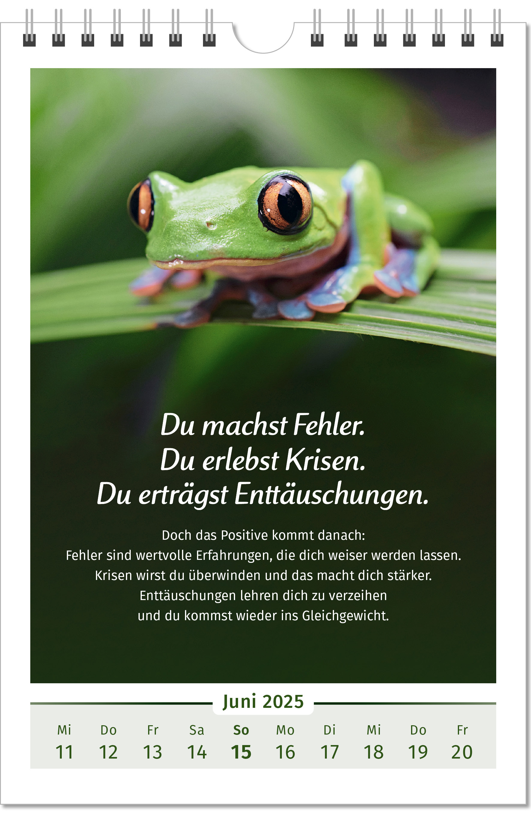 9783910294110_innenansicht_04.jpg