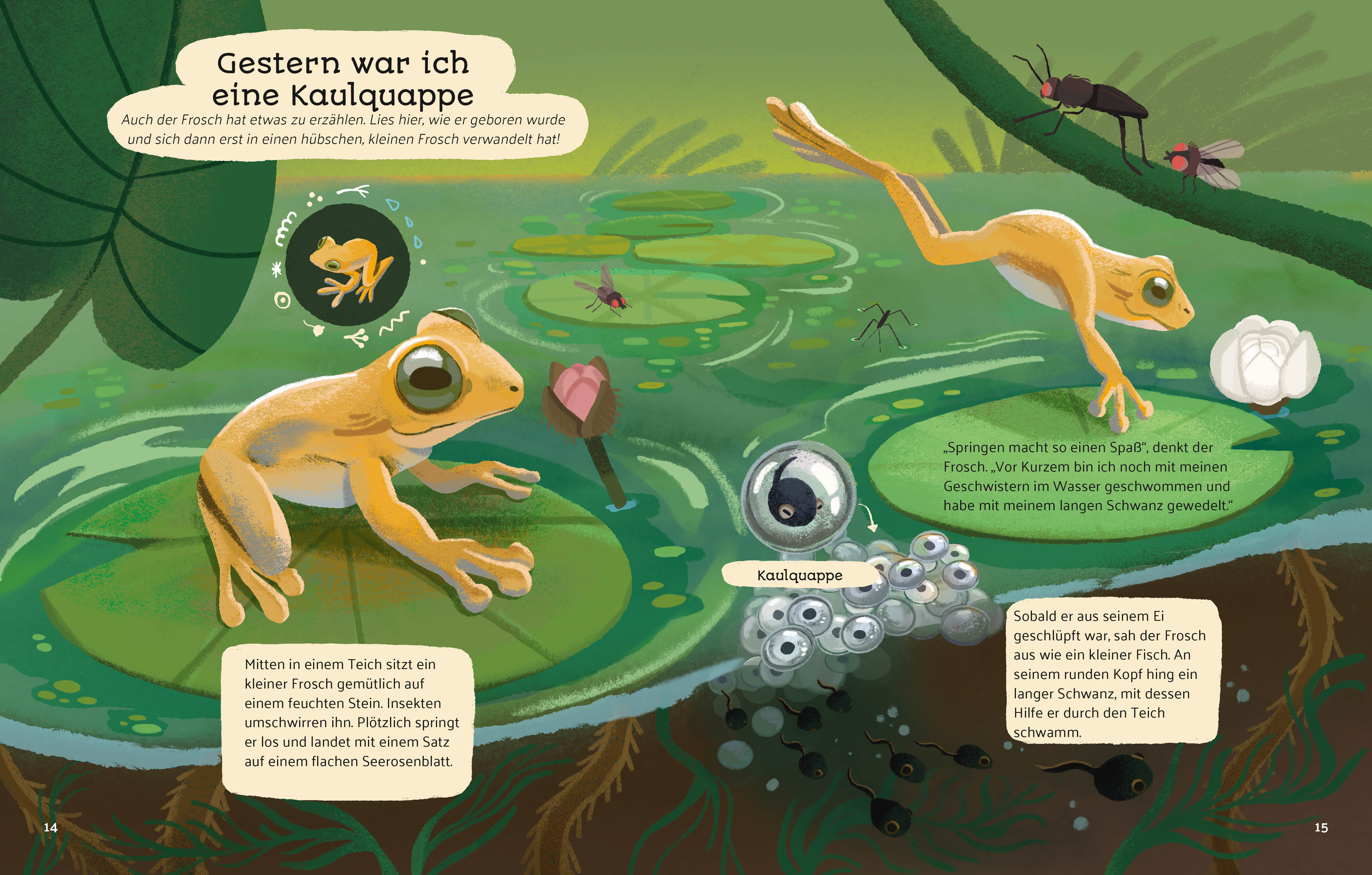 9788863127102_innenansicht_07 9788863127102_innenansicht_07.jpg