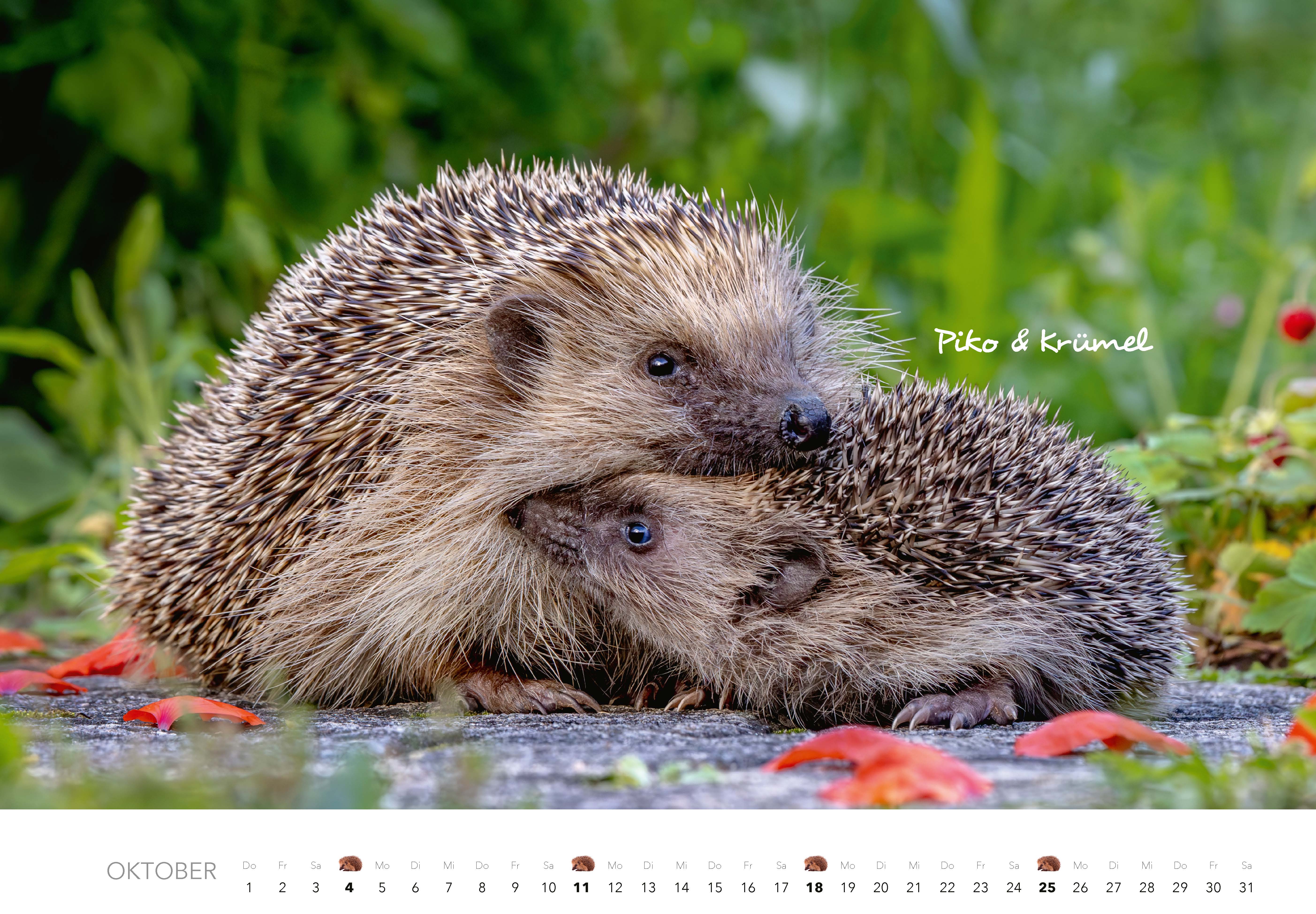 9783966649704_innenansicht_10 9783966649704_innenansicht_10.jpg