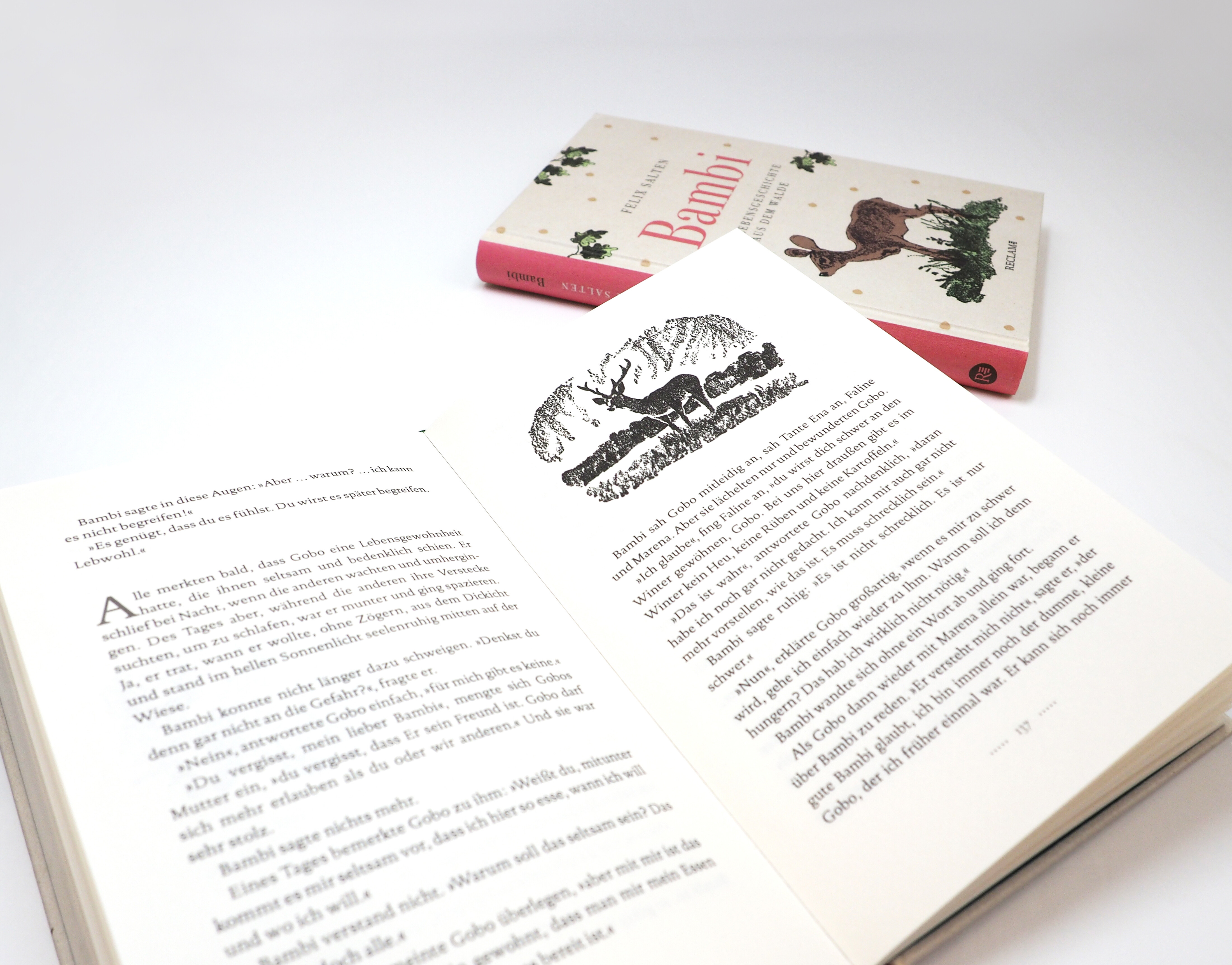 9783150114971_innenansicht_05 9783150114971_innenansicht_05.jpg