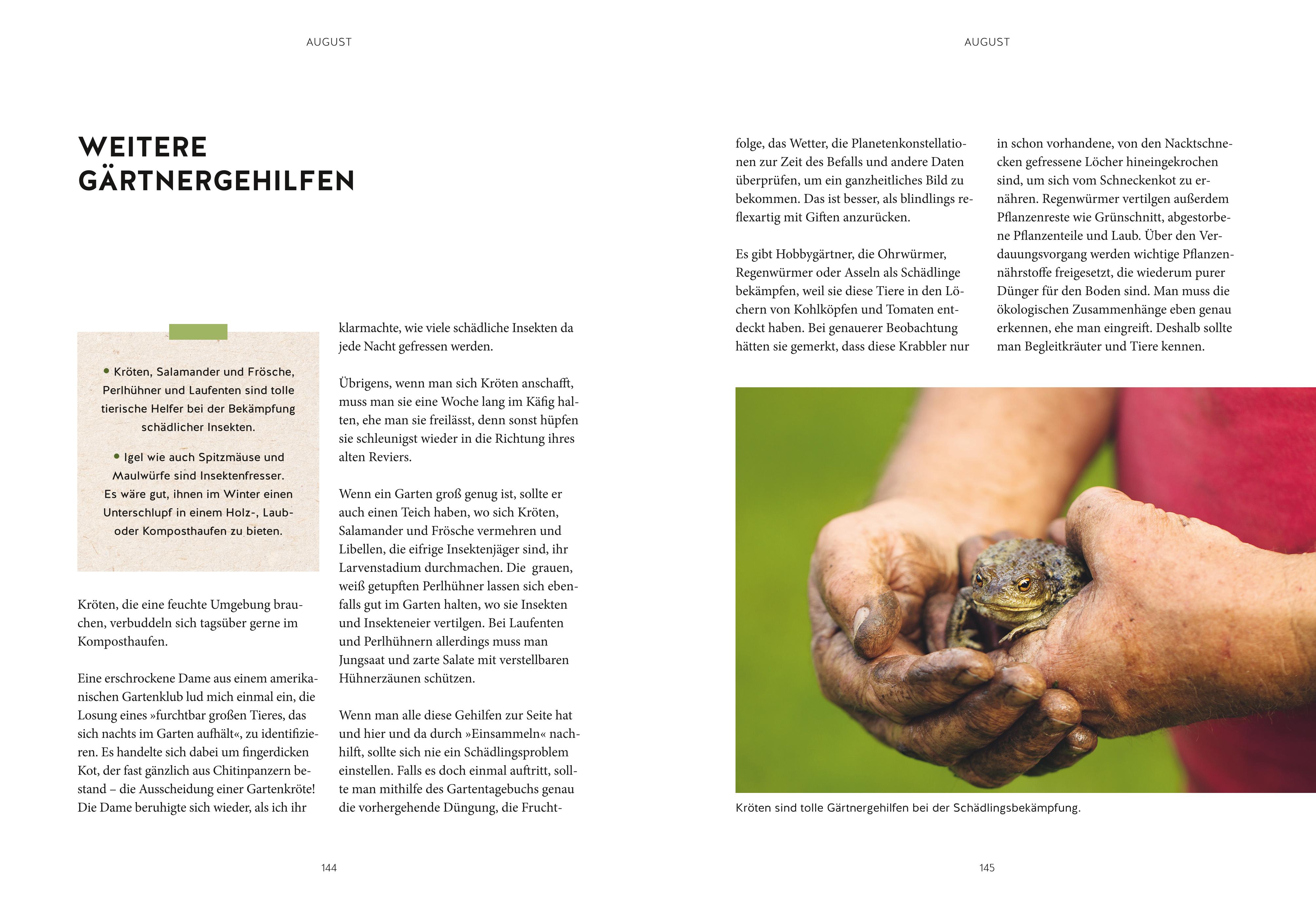 9783833880544_innenansicht_04 9783833880544_innenansicht_04.jpg