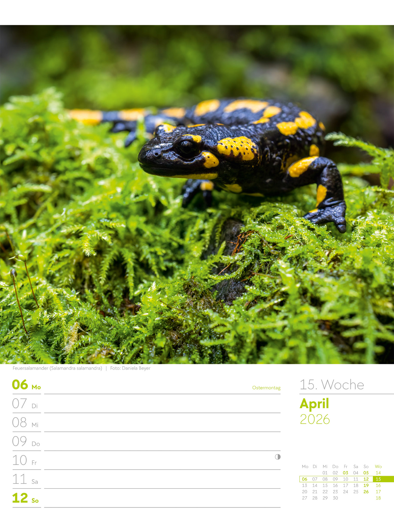 9783838436029_innenansicht_18 9783838436029_innenansicht_18.jpg