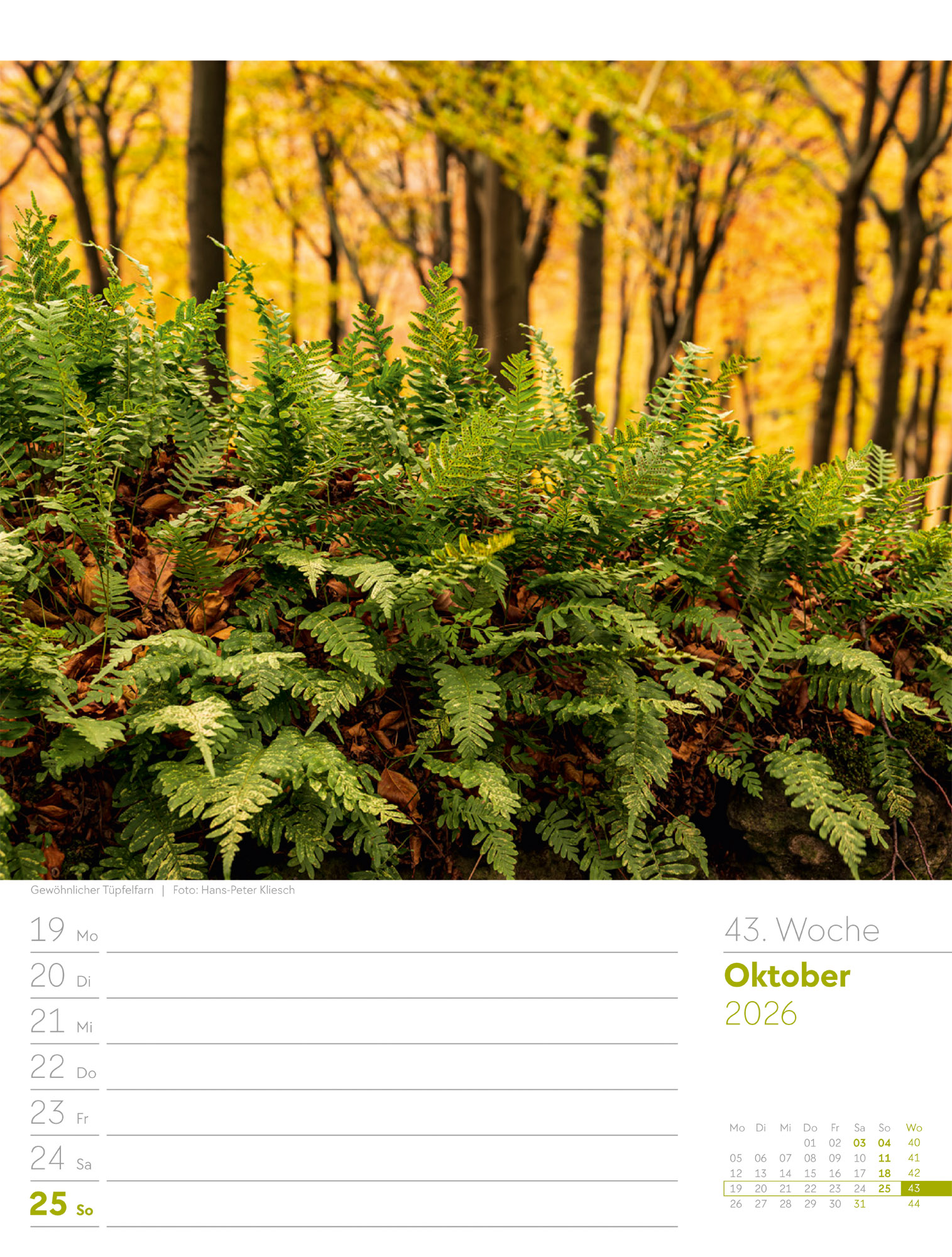 9783838426976_innenansicht_46 9783838426976_innenansicht_46.jpg