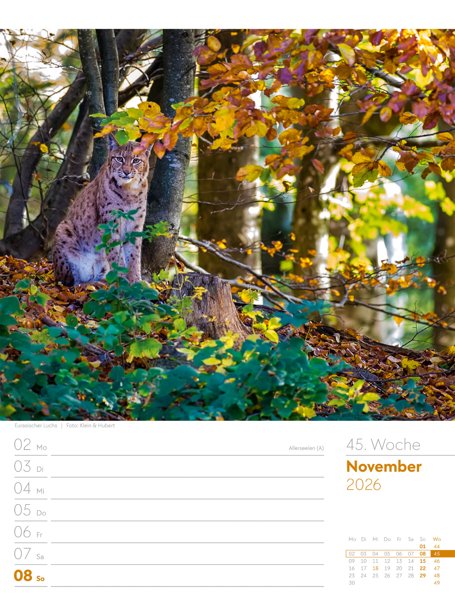 9783838426976_innenansicht_48 9783838426976_innenansicht_48.jpg