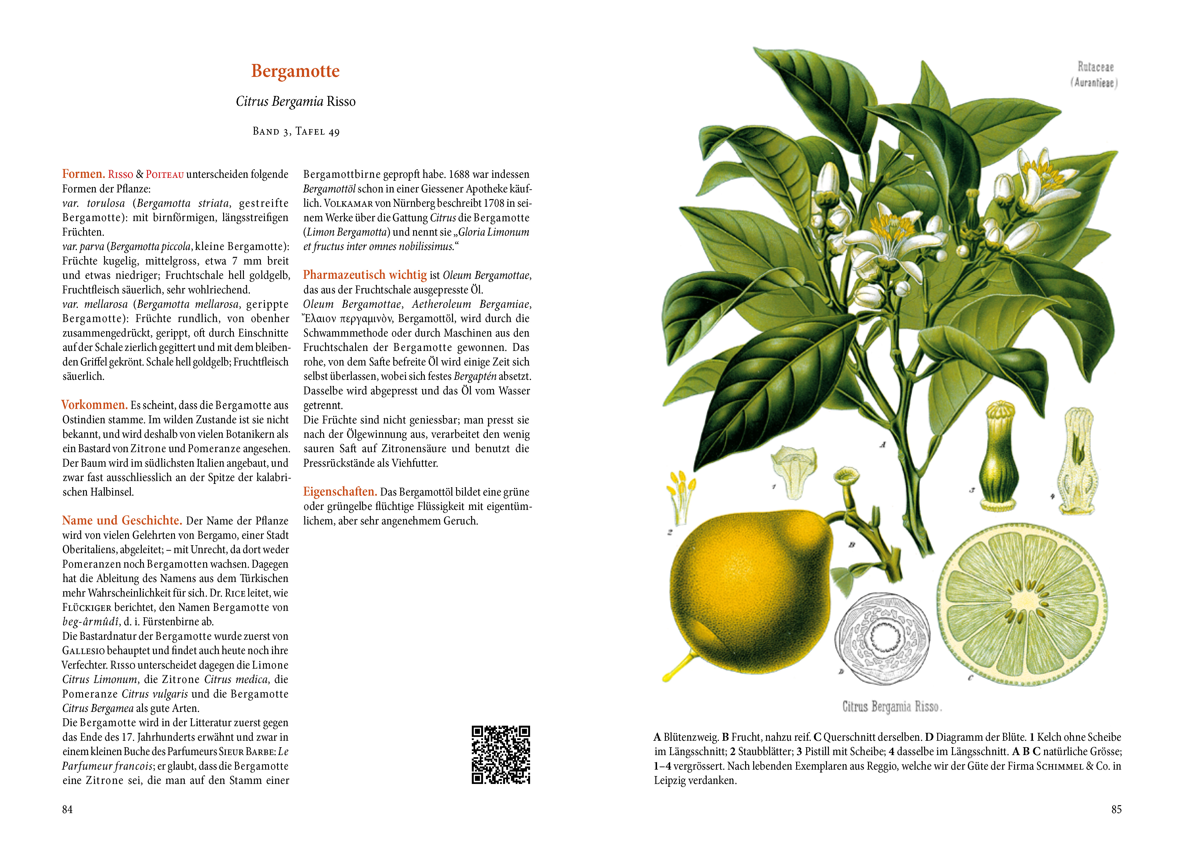 9783968491158_innenansicht_02 9783968491158_innenansicht_02.jpg