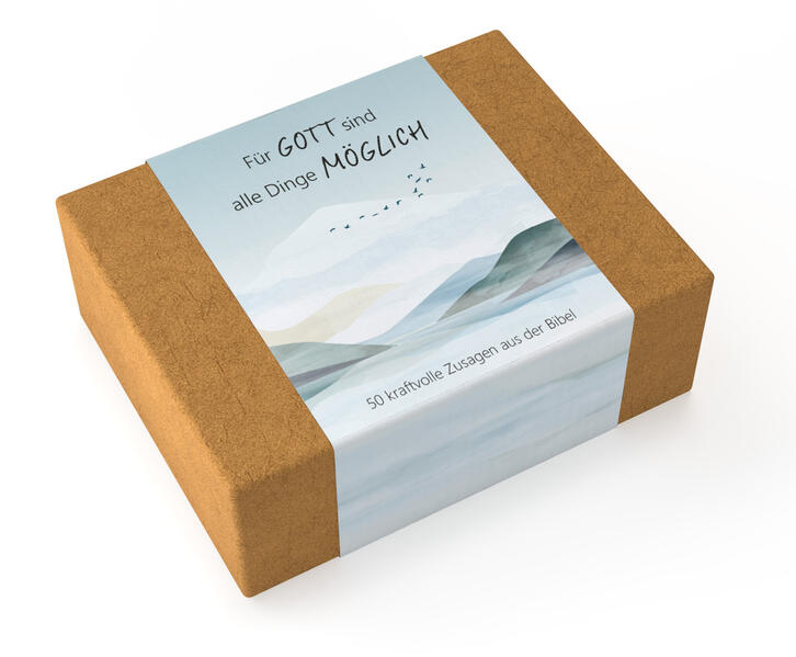 4029856847108 4029856847108