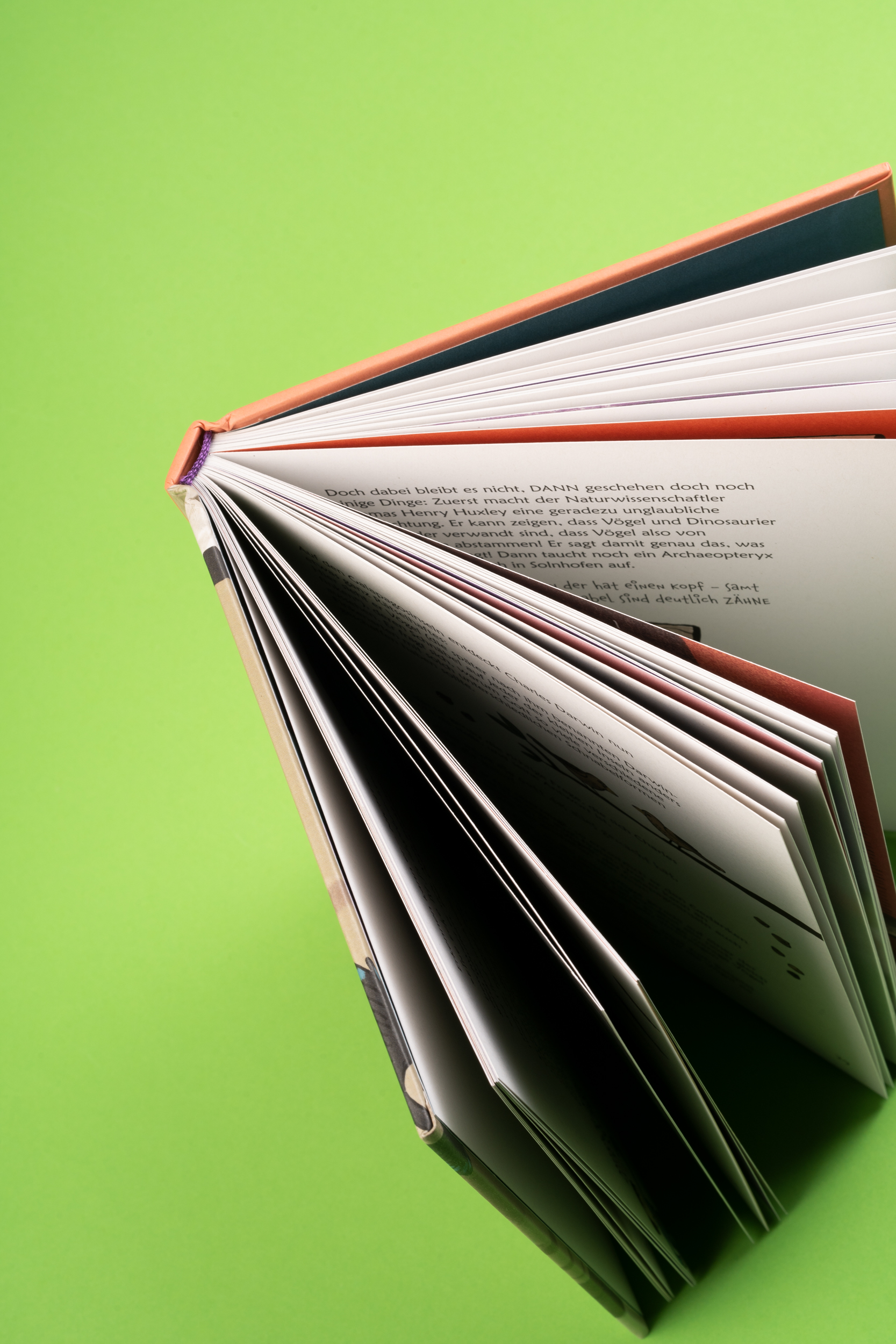 9783865024602_innenansicht_09.jpg 9783865024602_innenansicht_09.jpg