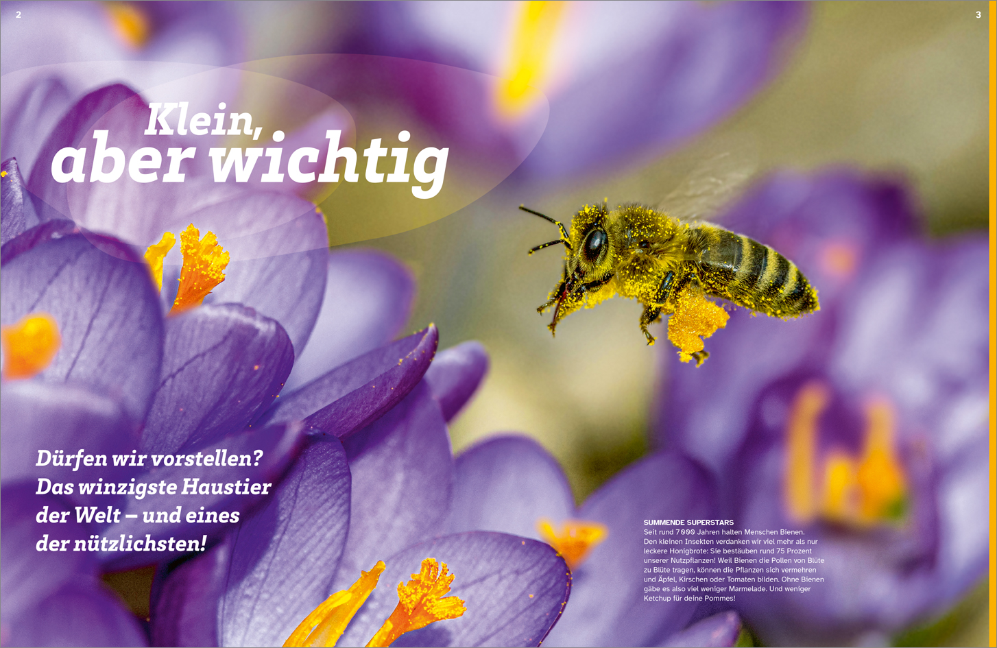 9783788681739_innenansicht_02.jpg