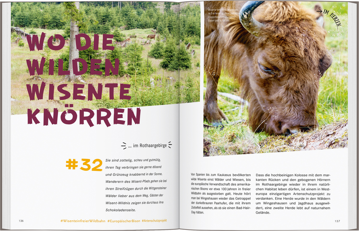 9783616028149_innenansicht_08.jpg