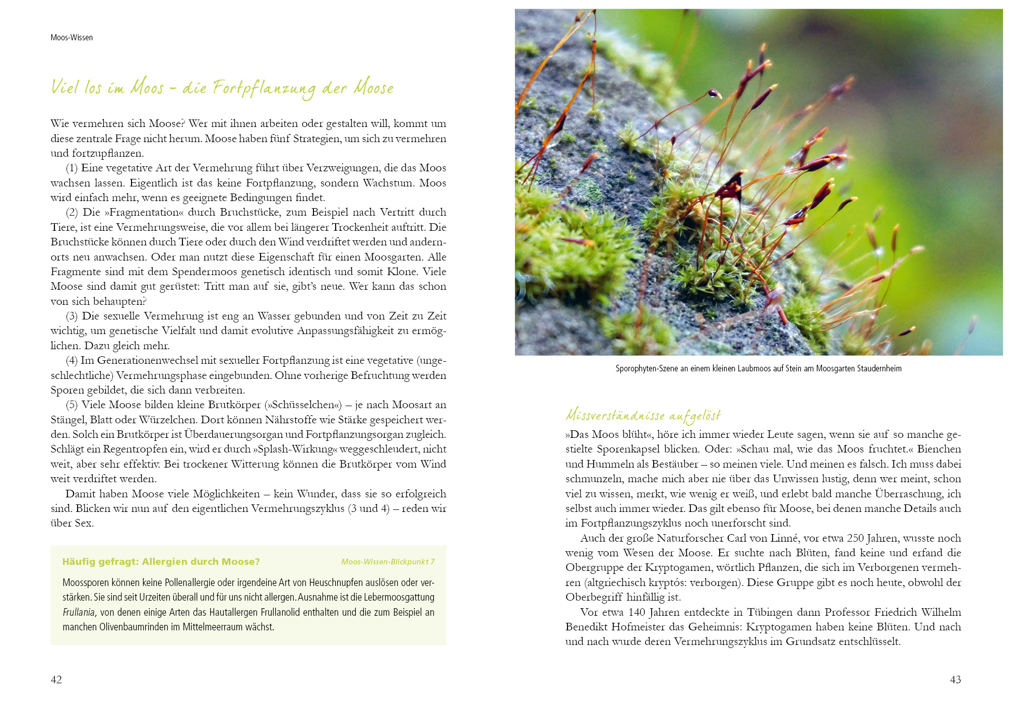 9783895663871_innenansicht_02 9783895663871_innenansicht_02.jpg