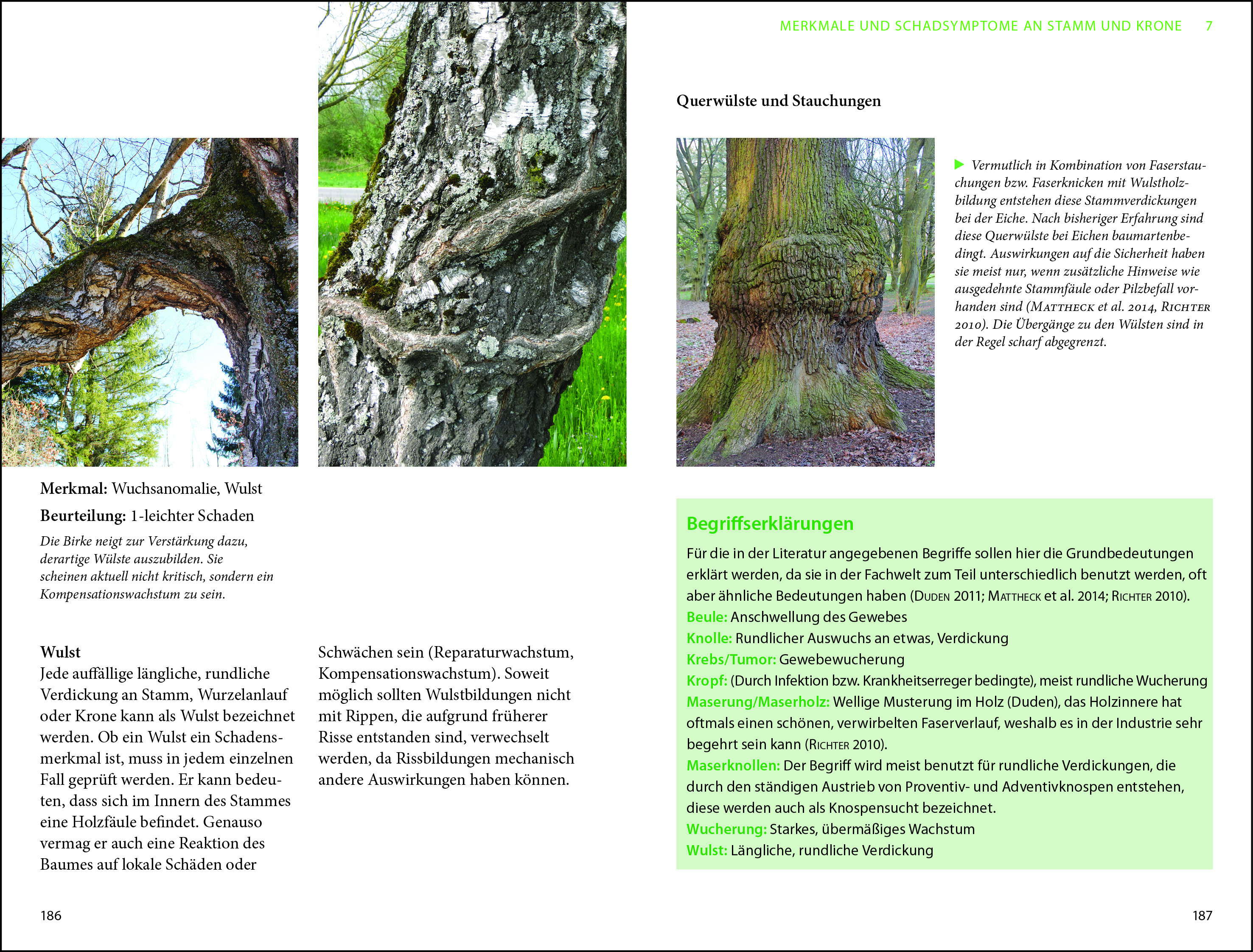 9783934947375_innenansicht_03 9783934947375_innenansicht_03.jpg