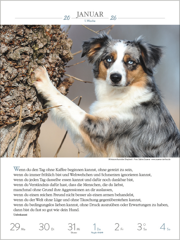9783731884392_innenansicht_01.jpg