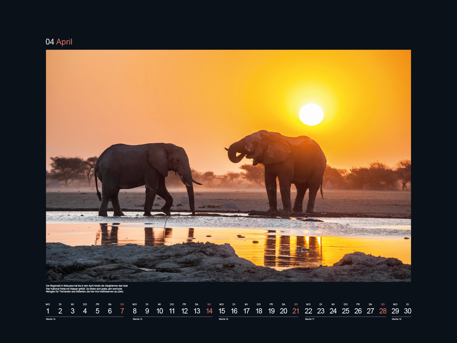 9783965912465_innenansicht_05 9783965912465_innenansicht_05.jpg