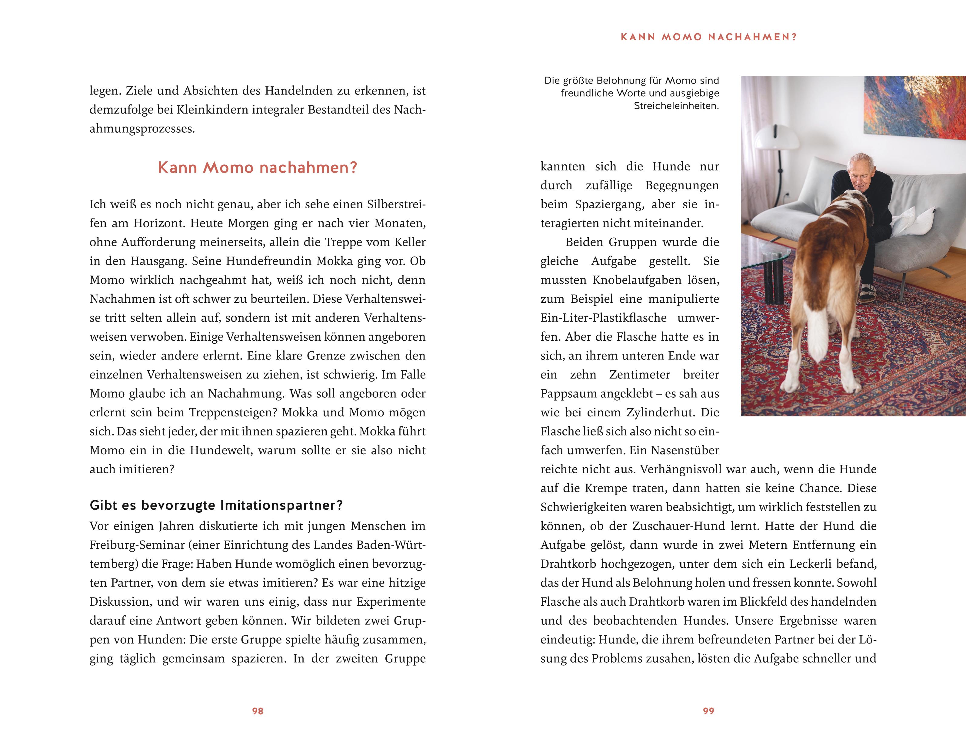 9783833882197_innenansicht_07.jpg
