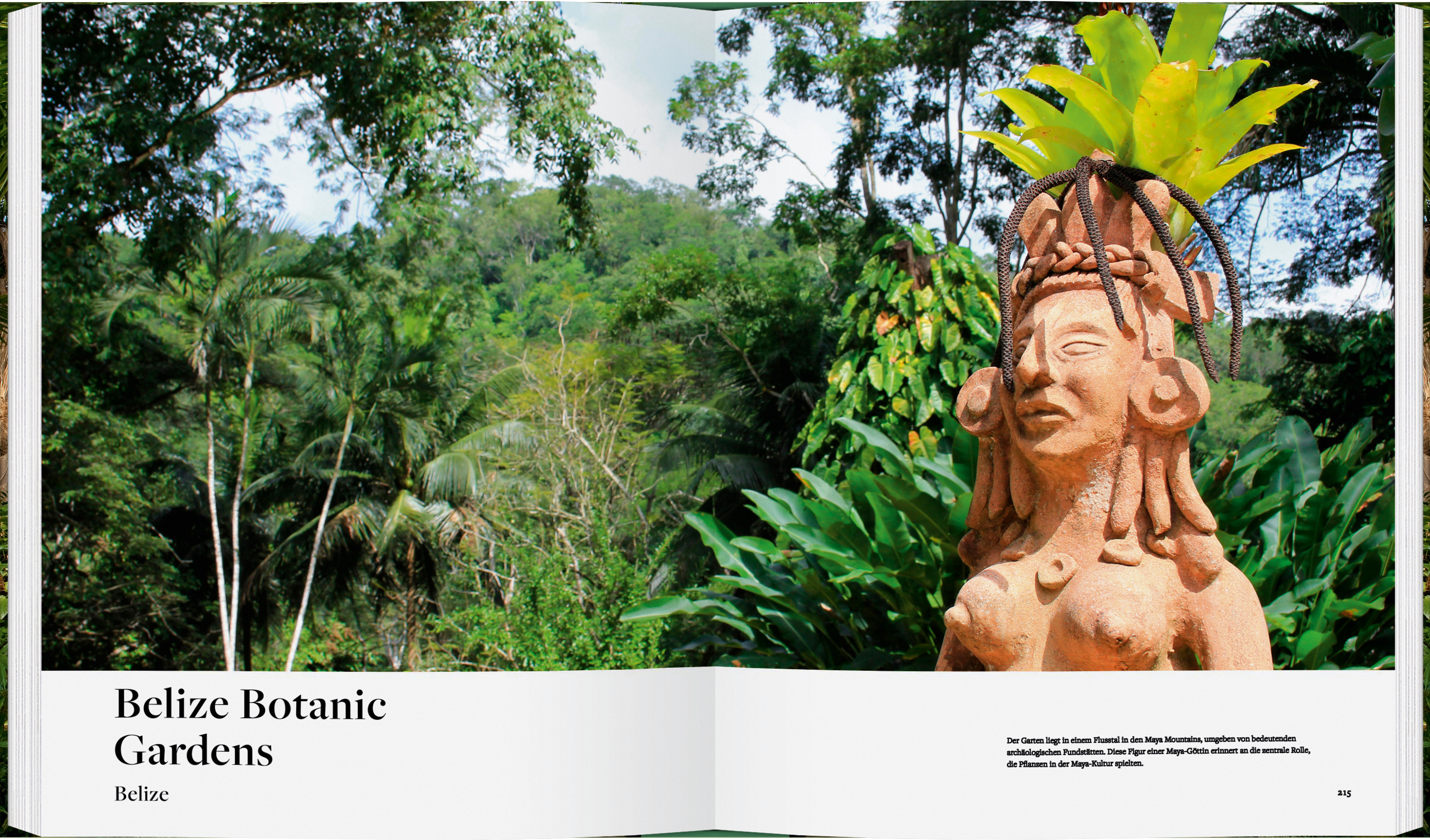 9783836922043_innenansicht_01 9783836922043_innenansicht_01.jpg