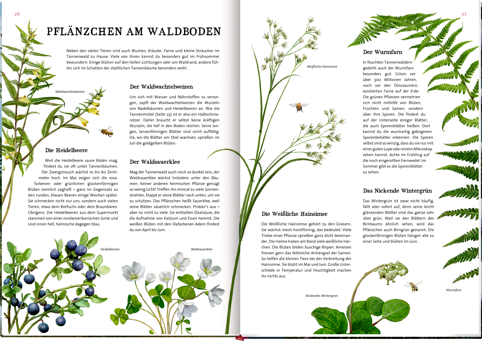 9783649647973_innenansicht_04 9783649647973_innenansicht_04.jpg