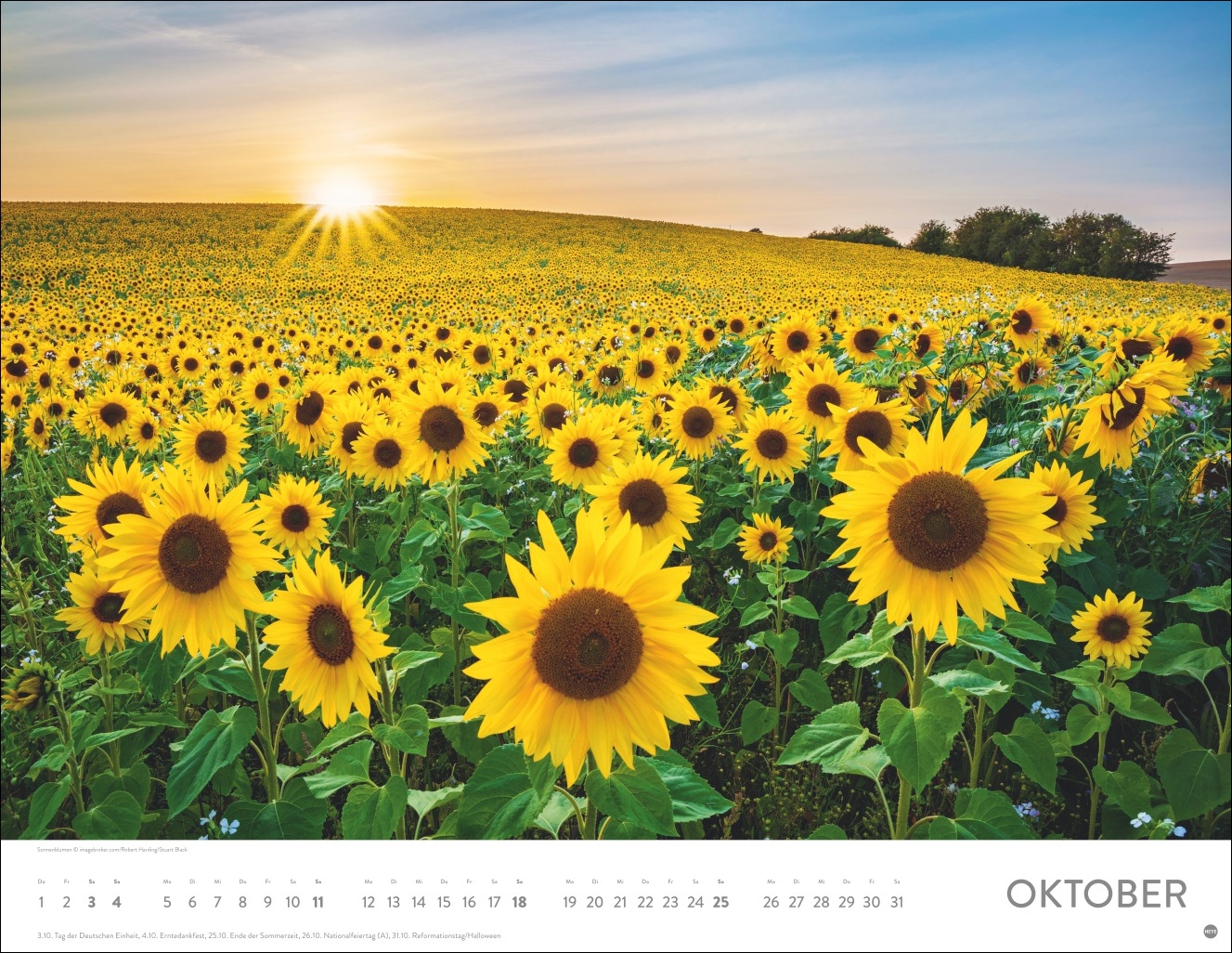 9783756414116_innenansicht_10 9783756414116_innenansicht_10.jpg