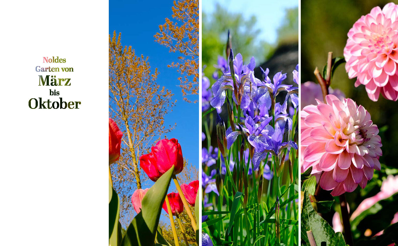 9783791377773_innenansicht_06 9783791377773_innenansicht_06.jpg