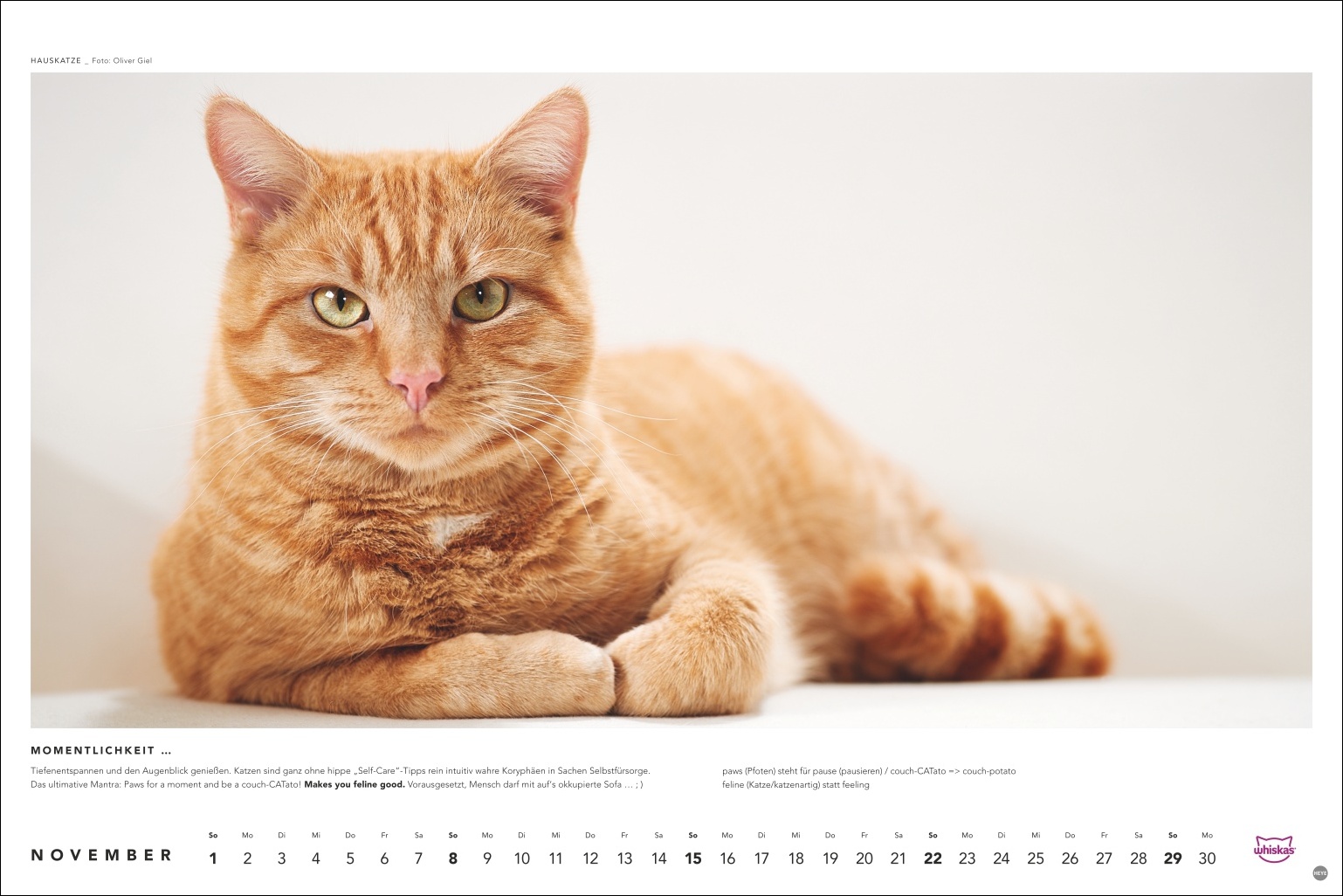 9783756413119_innenansicht_11 9783756413119_innenansicht_11.jpg