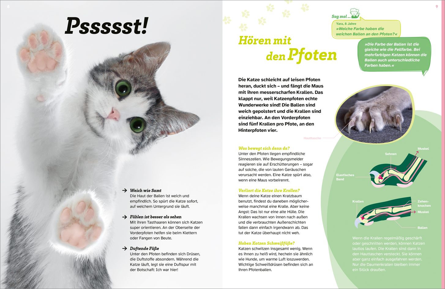9783788681760_innenansicht_01.jpg