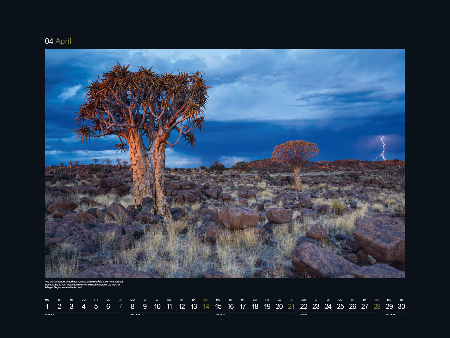 9783965912496_innenansicht_05 9783965912496_innenansicht_05.jpg