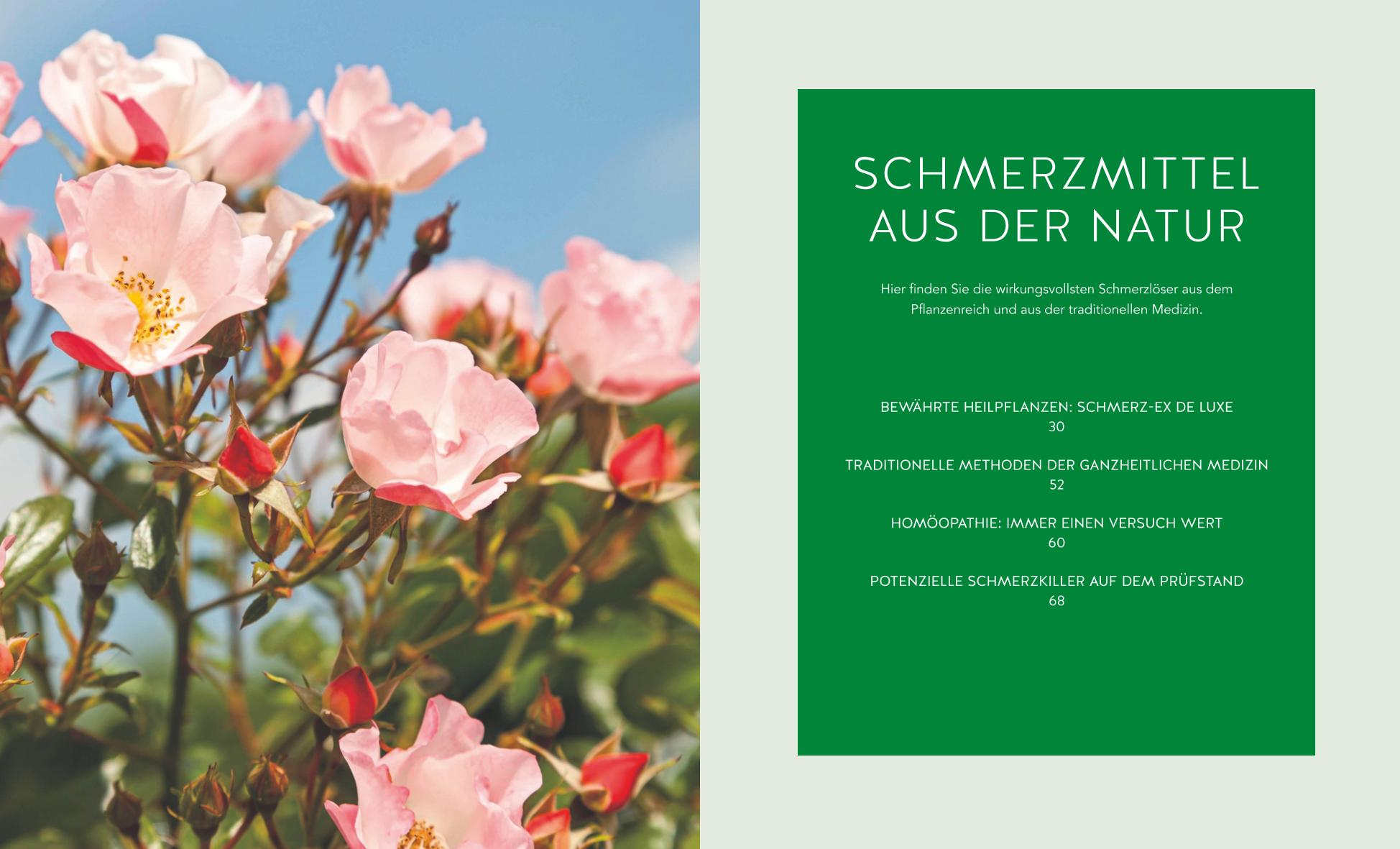 9783833873126_innenansicht_03 9783833873126_innenansicht_03.jpg