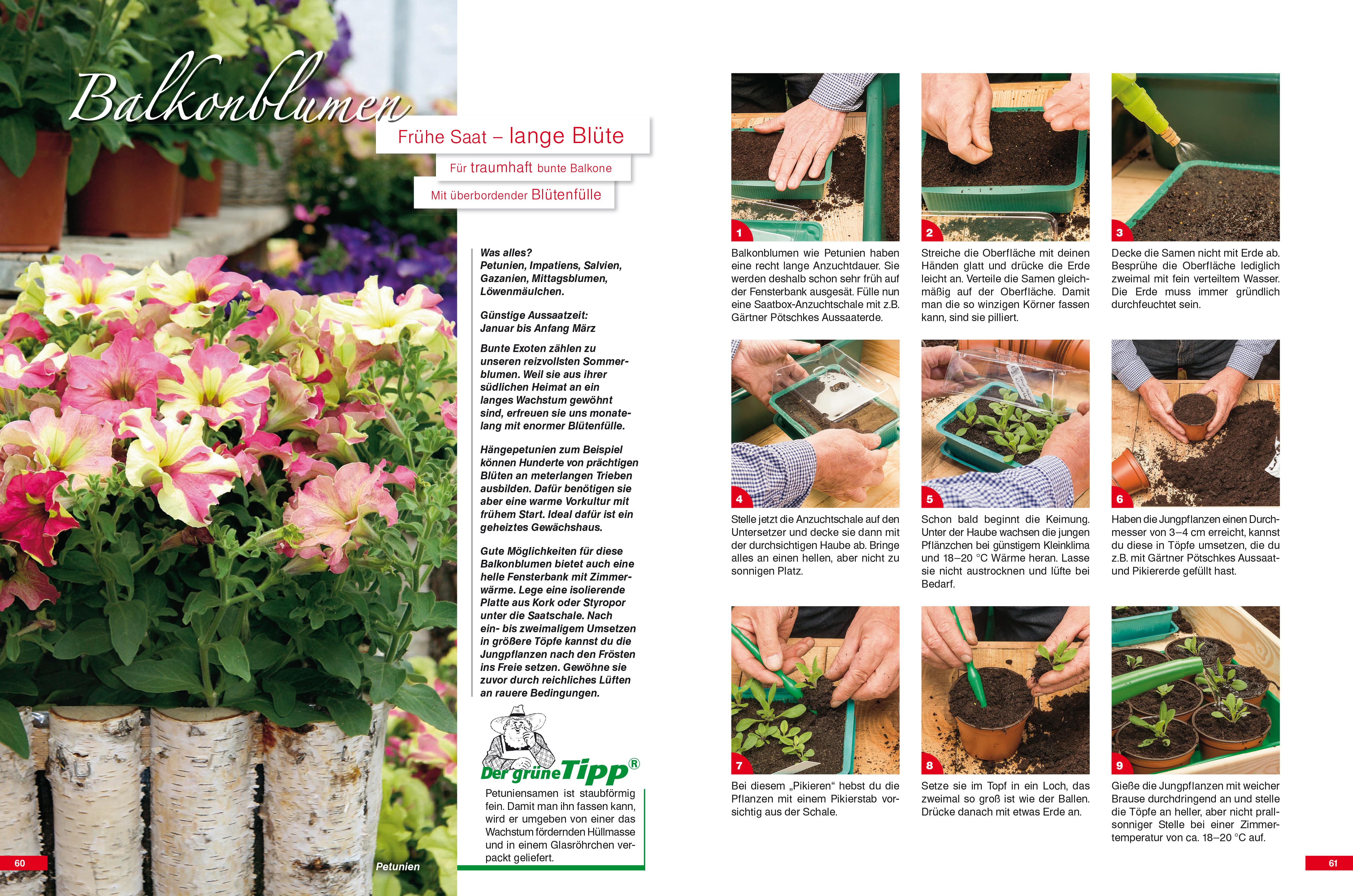 9783920362243_innenansicht_05 9783920362243_innenansicht_05.jpg