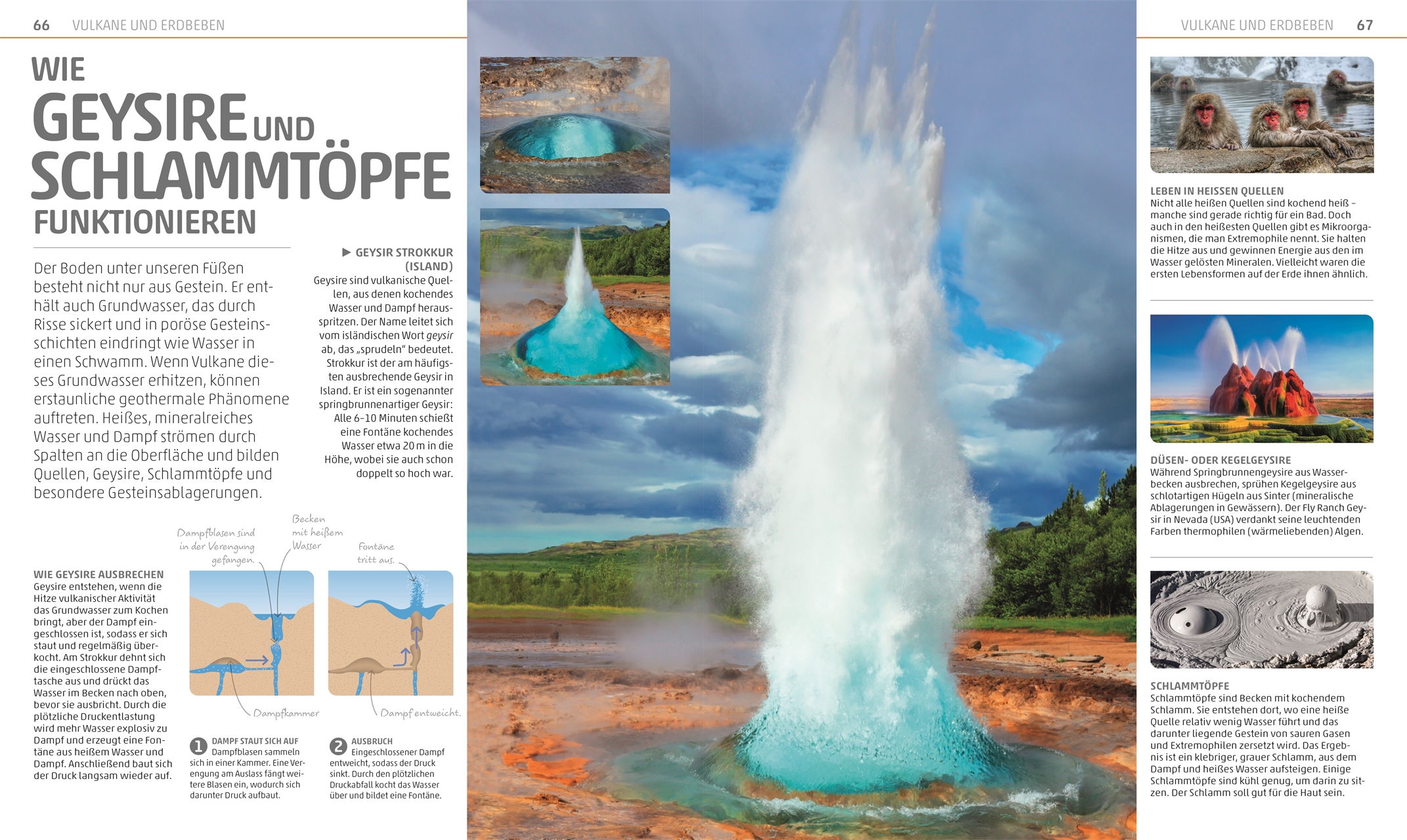 9783831049790_innenansicht_02 9783831049790_innenansicht_02.jpg