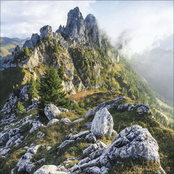 9783731875567_innenansicht_09 9783731875567_innenansicht_09.jpg