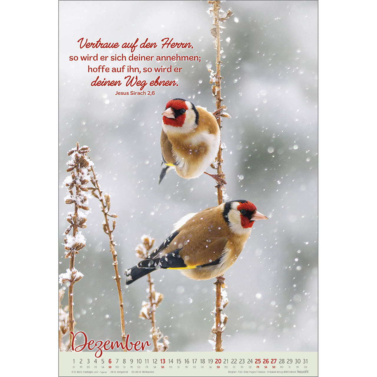 9783754804261_innenansicht_12 9783754804261_innenansicht_12.jpg