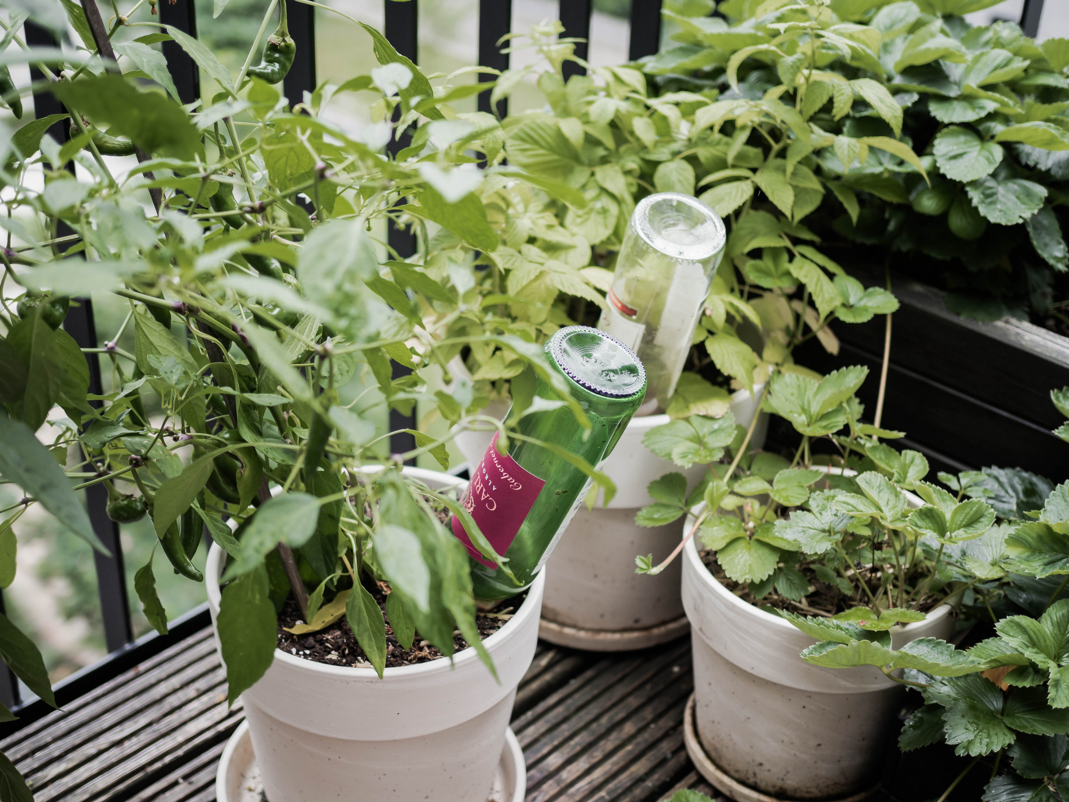 9783735852373_innenansicht_04 9783735852373_innenansicht_04.jpg