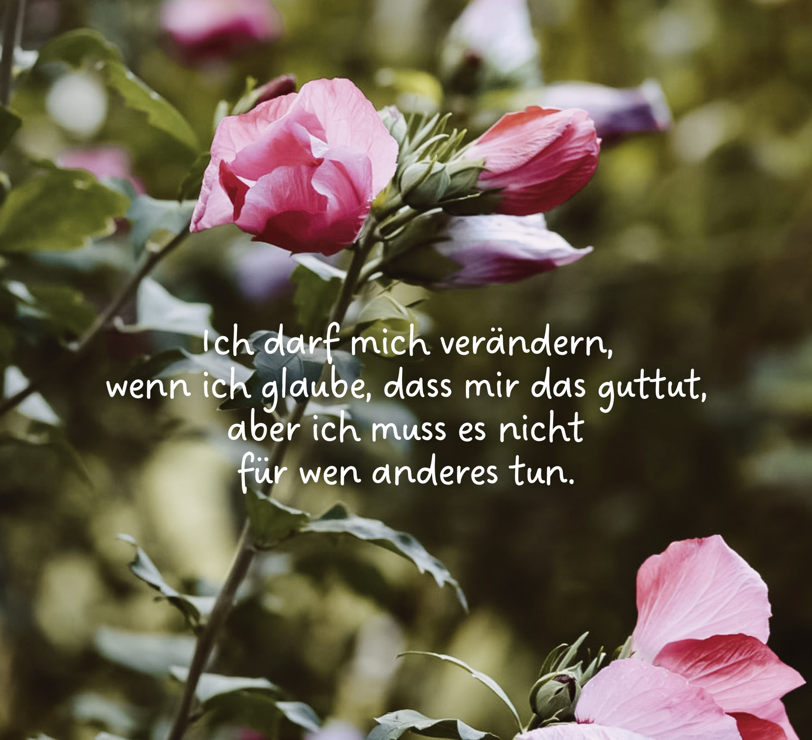 9783848503698_innenansicht_04.png