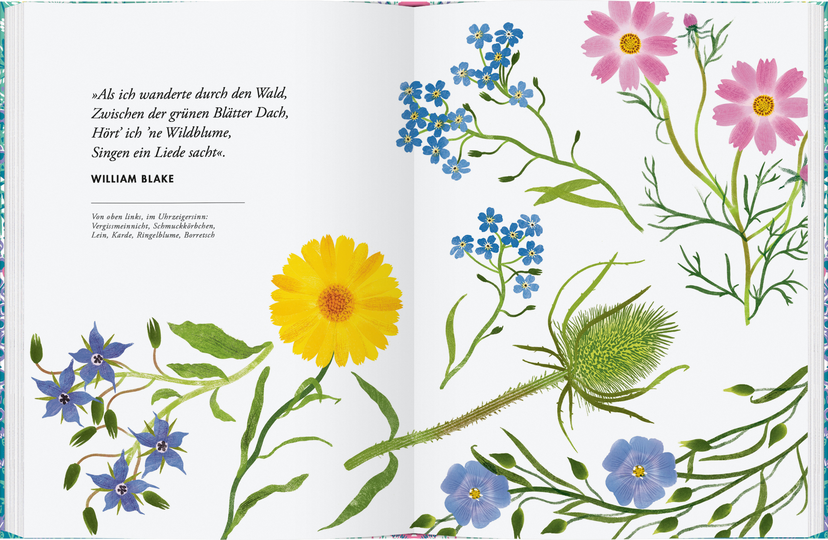 9783836922067_innenansicht_02 9783836922067_innenansicht_02.jpg